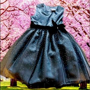 Beautiful Glitter Dress